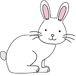 Rabbit Products